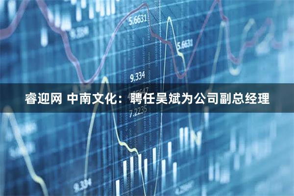 睿迎网 中南文化：聘任吴斌为公司副总经理