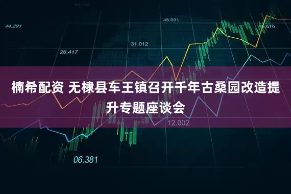 楠希配资 无棣县车王镇召开千年古桑园改造提升专题座谈会